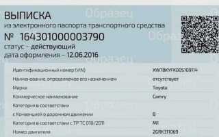 Сколько стоят документы на машину без машины
