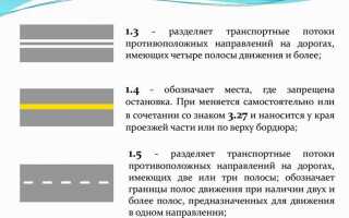 Что обозначает эта разметка номер дороги или маршрута