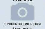 Sxh5136 что это как пользоваться