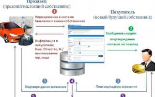 Электронный птс официальный сайт как проверить