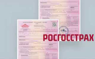 Узнать до какого числа действует полис осаго
