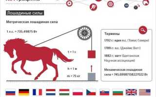 11 лошадиных сил какая скорость