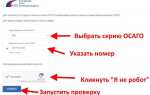 Номер убытка осаго как узнать