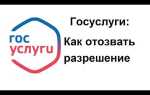 Кем выданы права что писать на госуслугах