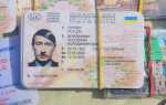 Как найти человека по водительскому удостоверению