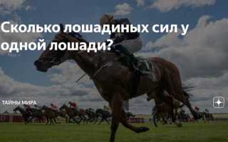 Сколько лошадиных сил у супры