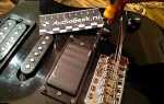 Что такое звукосниматель на гитаре