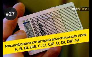 B n1 что за категория