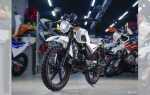 Сколько стоит альфа 125 кубов