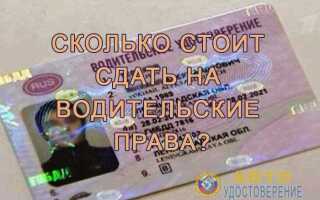 Сколько стоит сдать на права