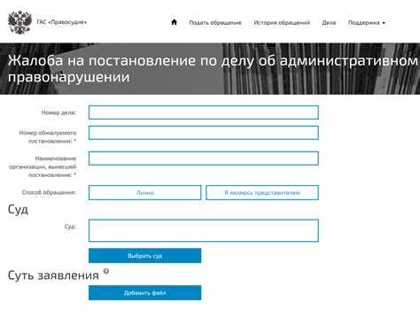 Пошаговая инструкция по заполнению формы обжалования на сайте