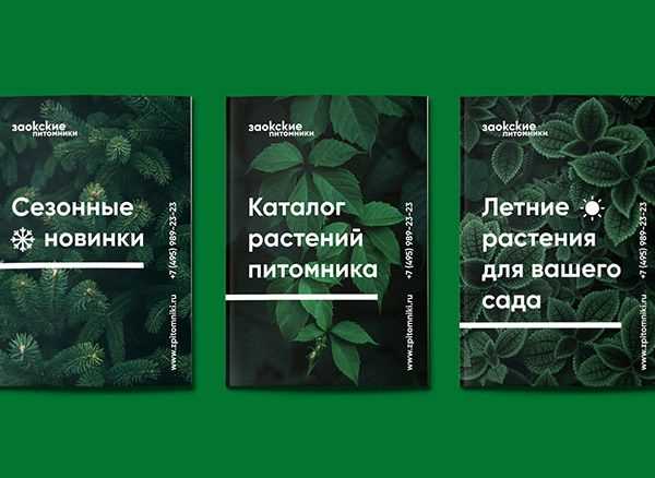 Как выбрать надежного продавца канифоли в розницу по цене и качеству