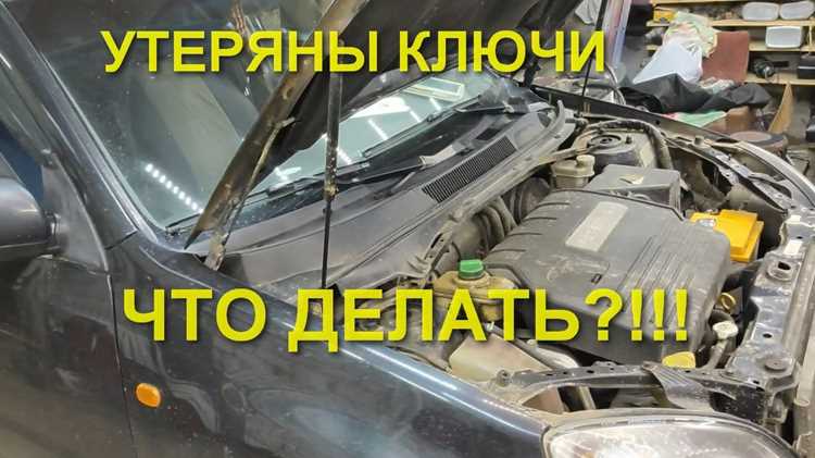 Как оценить состояние масла и других технических жидкостей
