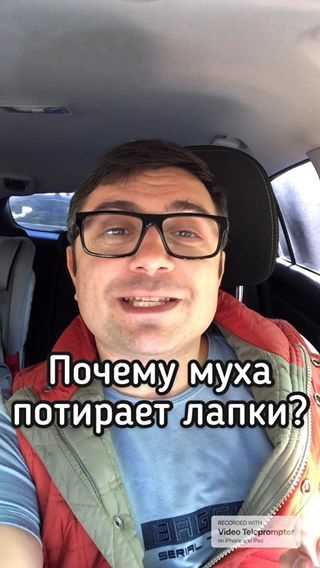 Сравните натяжение с заводскими параметрами. В руководстве по эксплуатации указано усилие натяжения для конкретной модели – обычно 3–5 даН (деканьютонов). Если данных нет, обратитесь к дилеру: перетяжка более чем на 20% от нормы снижает эффективность ремня на 30% при фронтальном ударе (исследование IIHS, 2021).