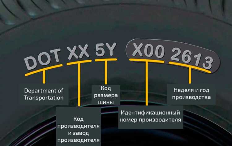 Срок годности шин где смотреть