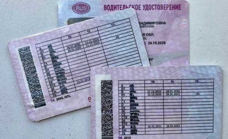Как выбрать автошколу с действующей лицензией и положительными отзывами