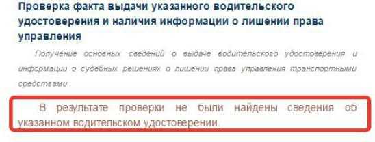 Пошаговая инструкция по проверке статуса прав на сайте Госуслуг