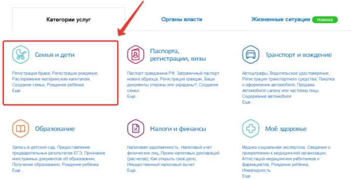 Какие категории прав указывать в госуслугах Какие категории прав указывать в госуслугах