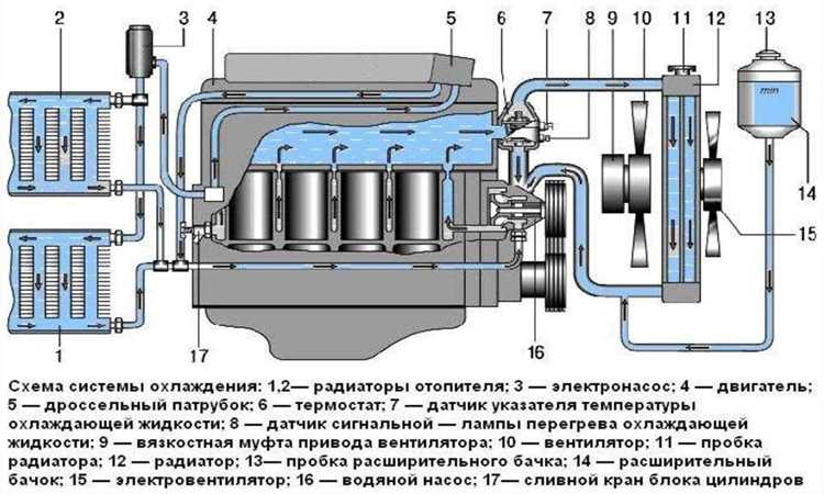 Сравнение готовых антифризов и концентратов: плюсы и минусы каждого варианта