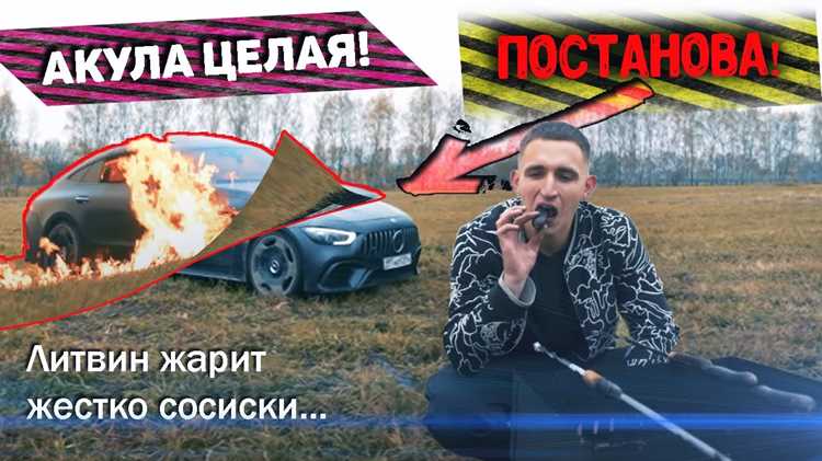 Какую модель Mercedes-Benz выбрал Литвин и почему