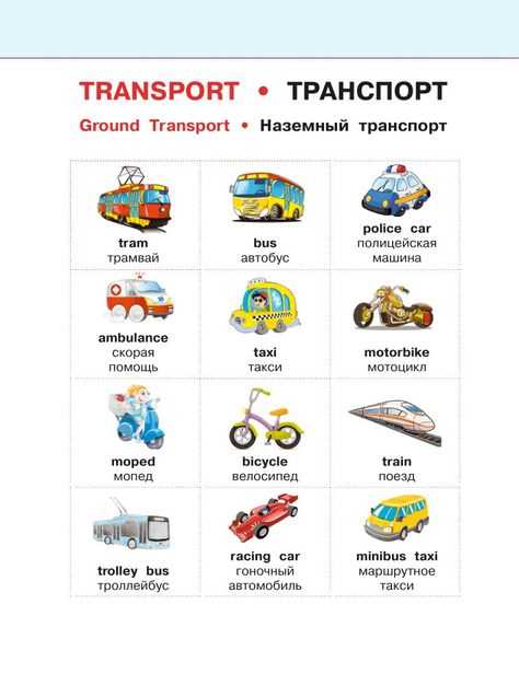 Категория L (мототранспорт) принципиально отличается от М1 по конструкции и назначению. Мотоциклы (L3) и квадрициклы (L7) не имеют пассажирского салона, а их масса редко превышает 500 кг. В отличие от М1, для управления L-категориями требуются отдельные водительские права (категория A), а их эксплуатация регламентируется менее строгими нормами по шуму и выбросам.