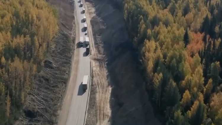 Дорожные знаки и указатели на трассе Киев–Одесса