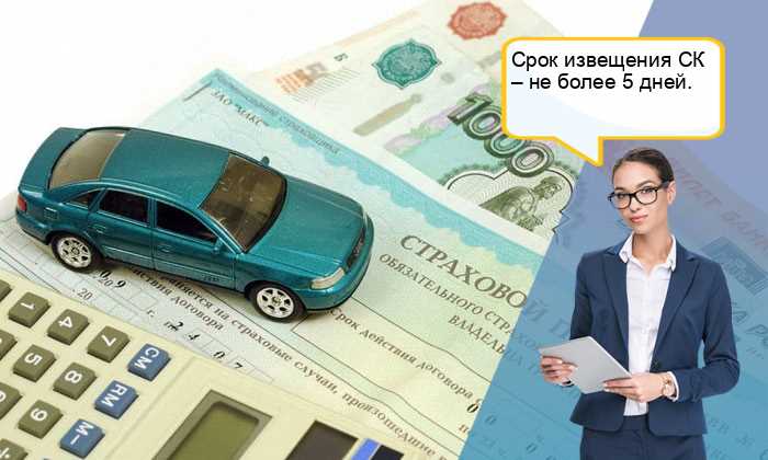 Влияние региона регистрации на базовую ставку ОСАГО