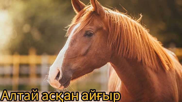 Как правильно интерпретировать данные о мощности в технической документации