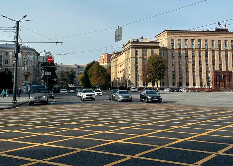 Что делать, если пришел штраф за остановку на вафельной разметке ошибочно