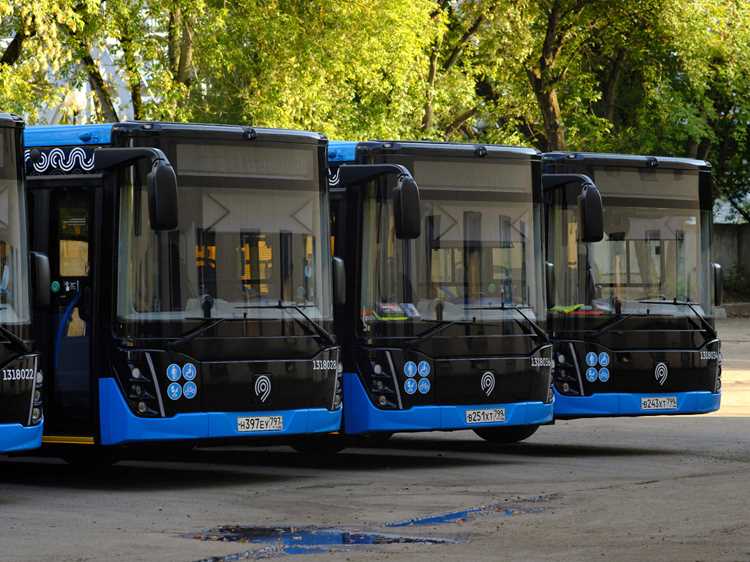 Дополнительные расходы при покупке автобуса: налоги, регистрация, страховка