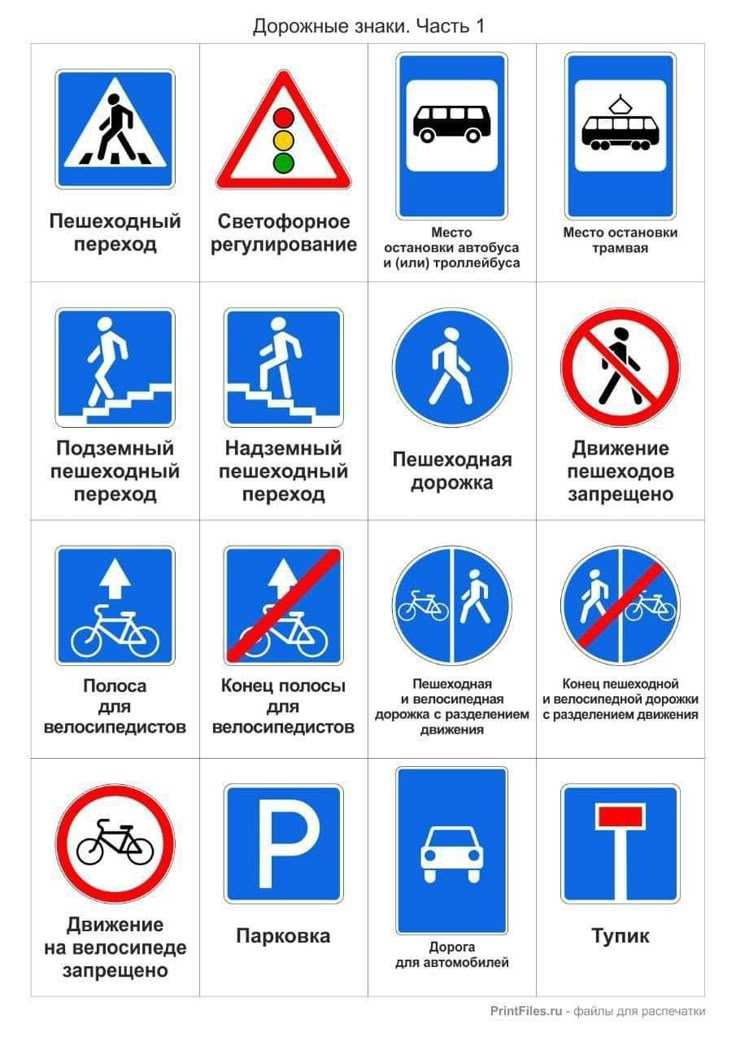 Примеры разметки и знаков для автобусных остановок и парковок в городах