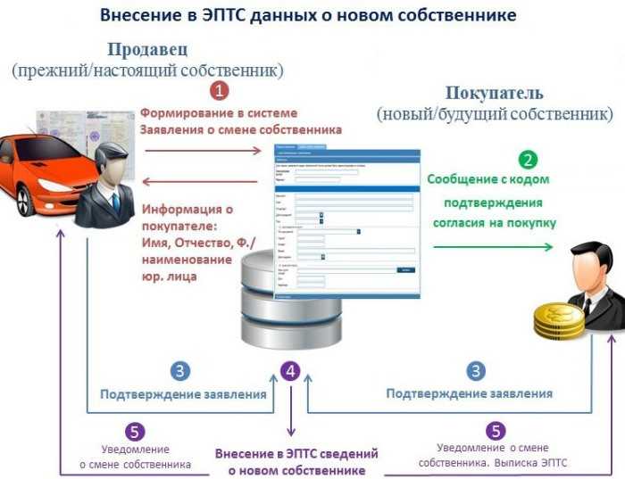 Электронный птс официальный сайт как проверить