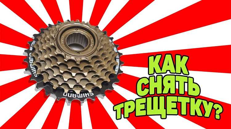 Какие инструменты понадобятся для демонтажа трещотки