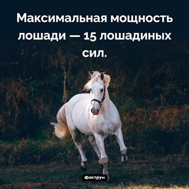 Сколько лошадиных сил в человеке на велосипеде