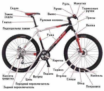 С какой стороны эксцентрики у велосипеда