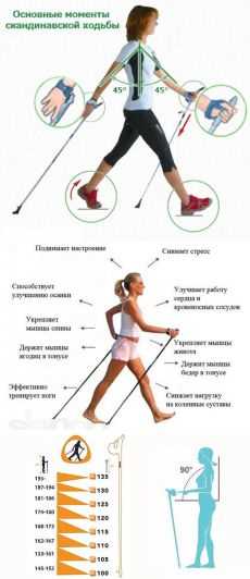 Влияние скорости движения на количество сжигаемых калорий
