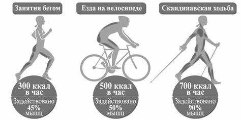 Сколько калорий сжигается при катании на самокате
