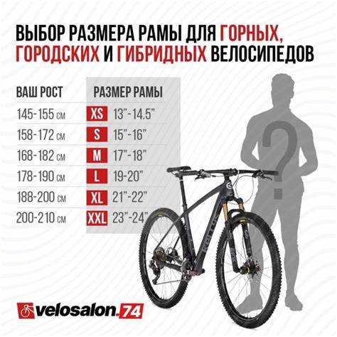 Какие акции и скидки на велосипеды Велодепо действуют в 2024 году
